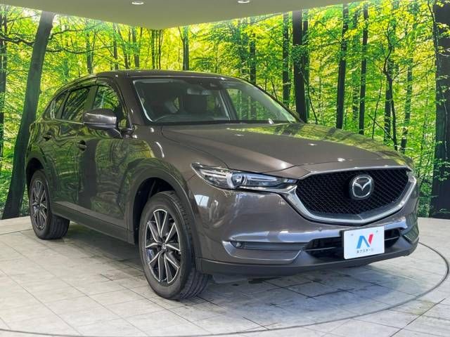 Mazda CX-5 2019-06 180552-16