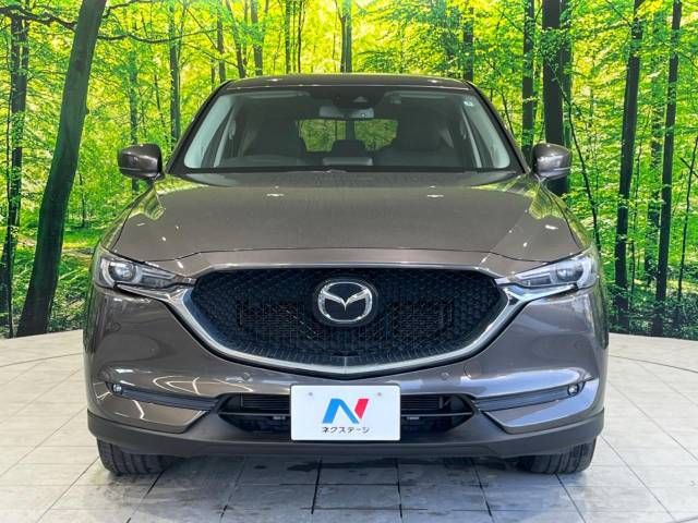 Mazda CX-5 2019-06 180552-14