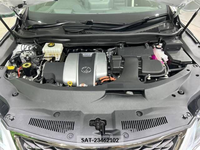 Lexus RX 2022-08 354309-17