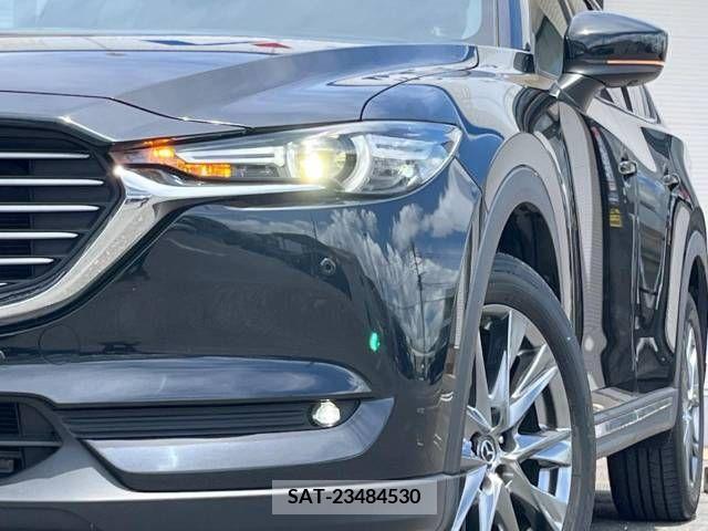Mazda CX-8 2019-10 377979-12