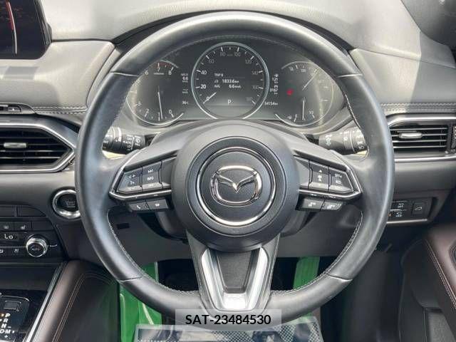 Mazda CX-8 2019-10 377979-11