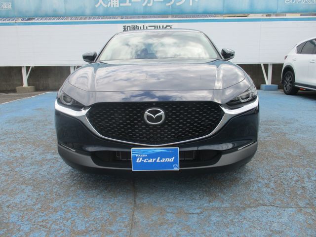 Mazda CX-30 2020-08 22834-3