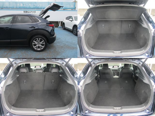 Mazda CX-30 2020-08 22834-26