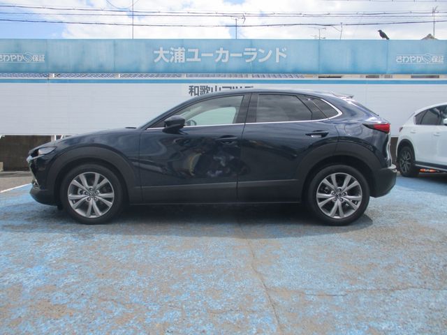 Mazda CX-30 2020-08 22834-5