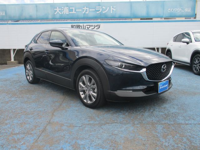 Mazda CX-30 2020-08 22834-8