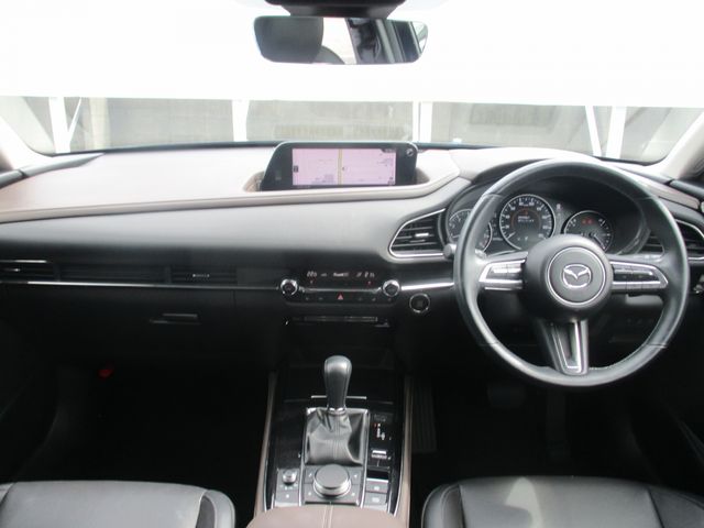 Mazda CX-30 2020-08 22834-9