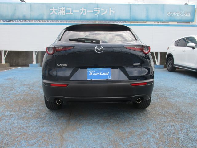 Mazda CX-30 2020-08 22834-4