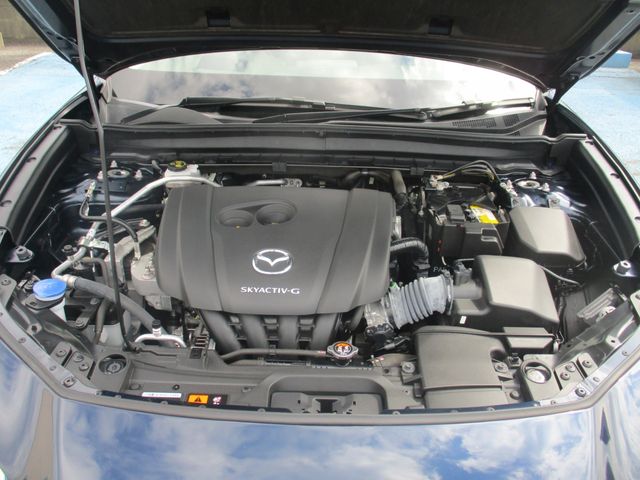 Mazda CX-30 2020-08 22834-27