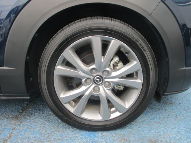 Mazda CX-30 2020-08 22834-29
