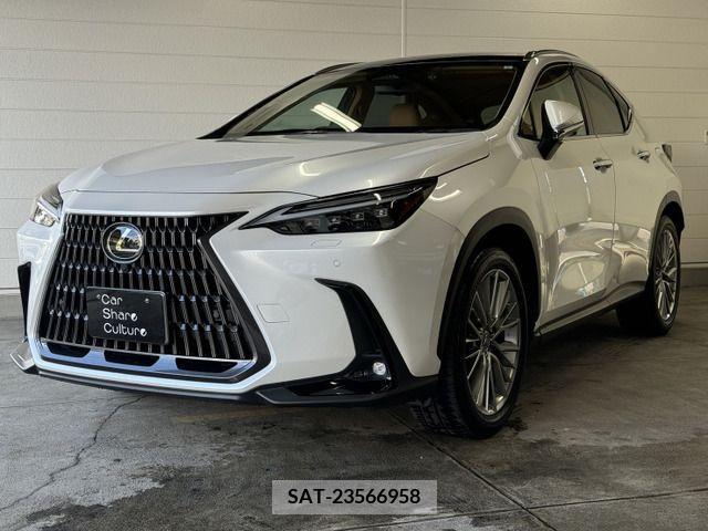 Lexus NX 2023-01 354378-0