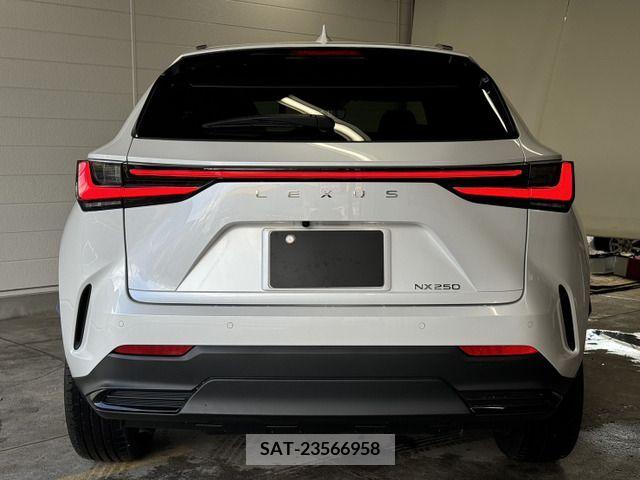 Lexus NX 2023-01 354378-11
