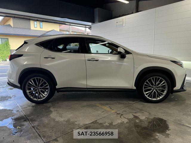 Lexus NX 2023-01 354378-9