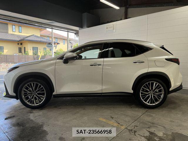 Lexus NX 2023-01 354378-8