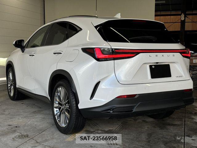 Lexus NX 2023-01 354378-7
