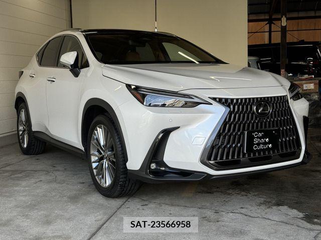 Lexus NX 2023-01 354378-6