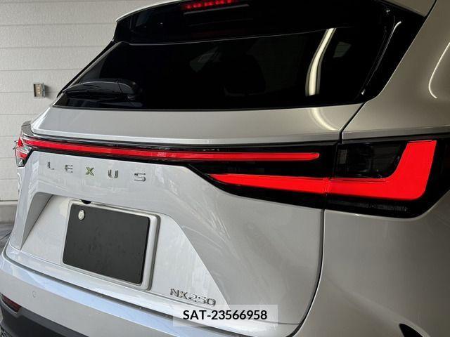 Lexus NX 2023-01 354378-19