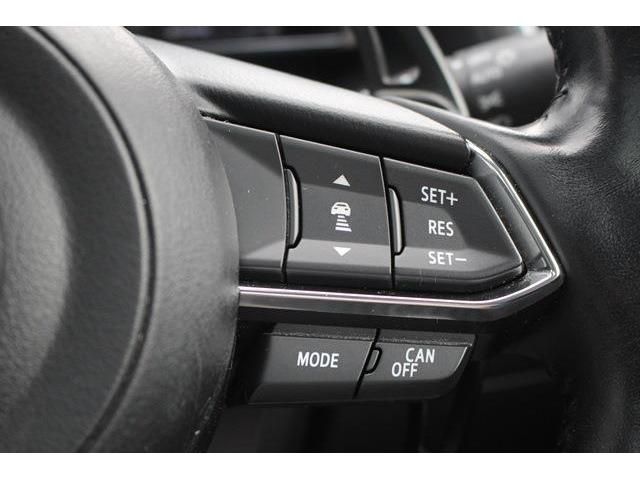 Mazda AXELA SPORT 2017-01 8610-4