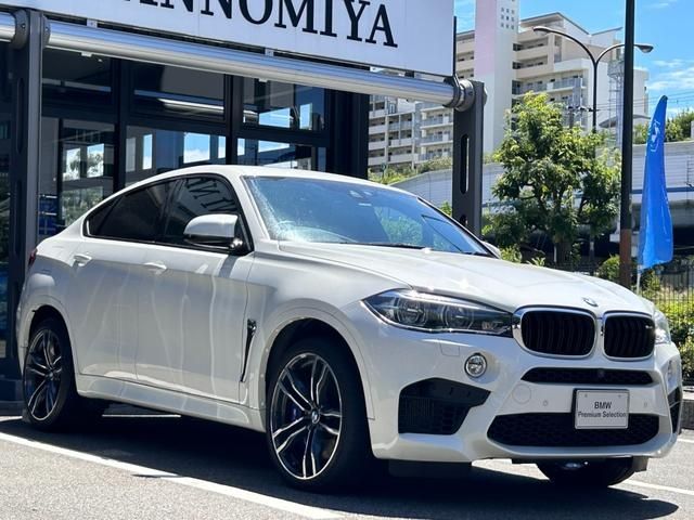 Bmw X6 2017-11 7063-5