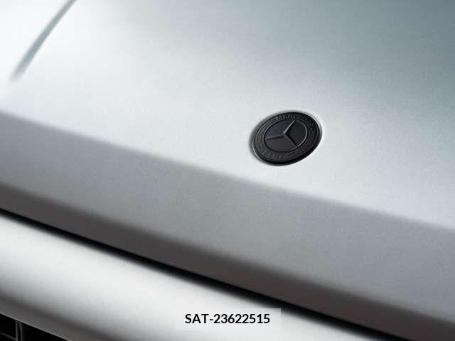 Amg G-CLASS 2019-09 206202-19