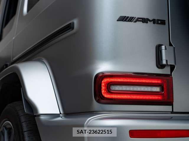 Amg G-CLASS 2019-09 206202-13