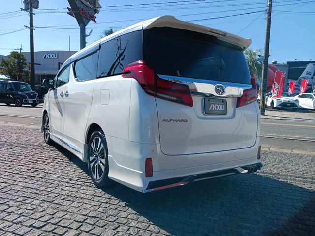 Toyota ALPHARD 2019-02 20521-2