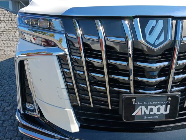 Toyota ALPHARD 2019-02 20521-5