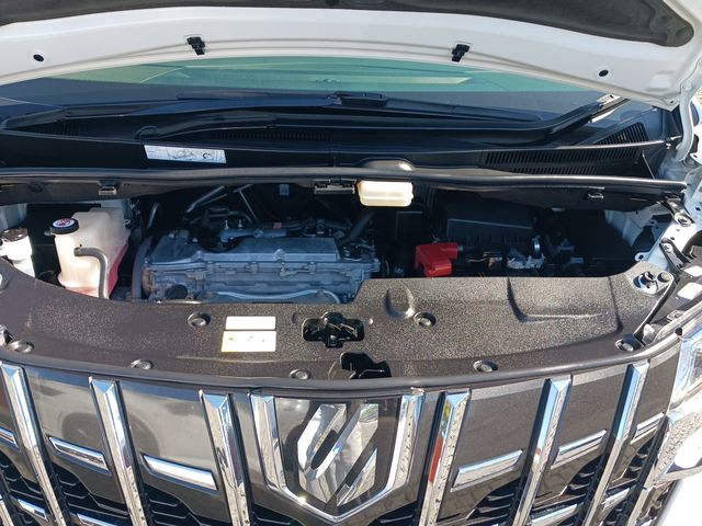 Toyota ALPHARD 2019-02 20521-29