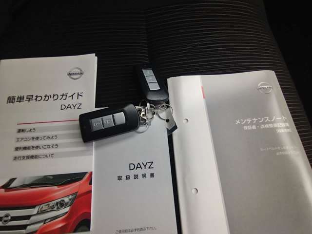 Nissan DAYZ 2018-07 5306-19