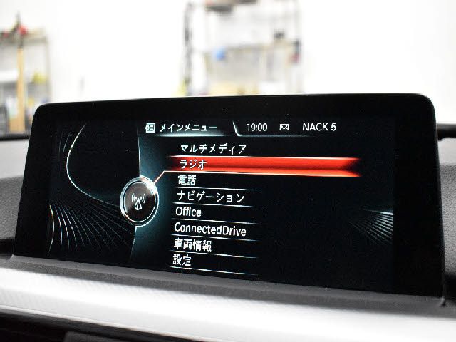 Bmw 3 SERIES 2016-03 10441-19