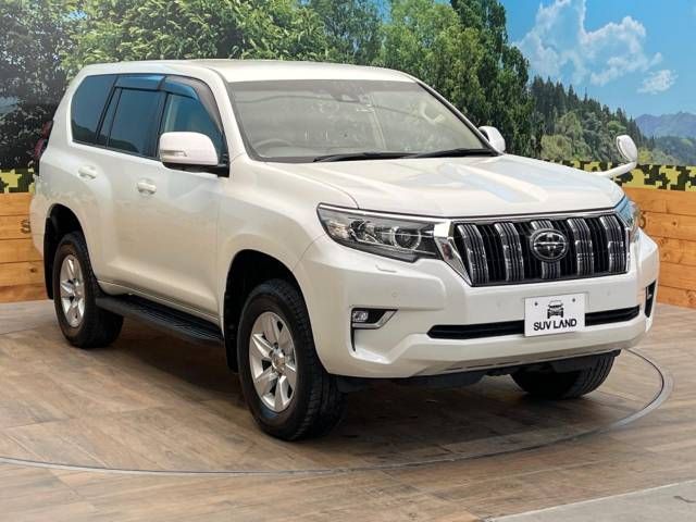 Toyota PRADO 2018-11 180739-18