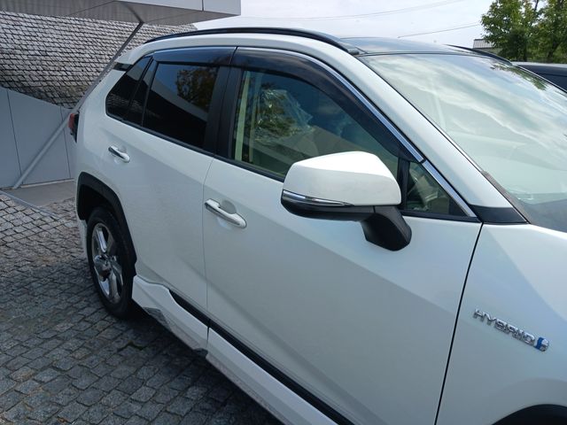 Toyota RAV4 2019-09 9197-4