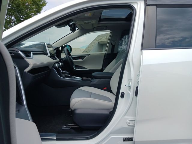 Toyota RAV4 2019-09 9197-22