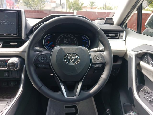 Toyota RAV4 2019-09 9197-12
