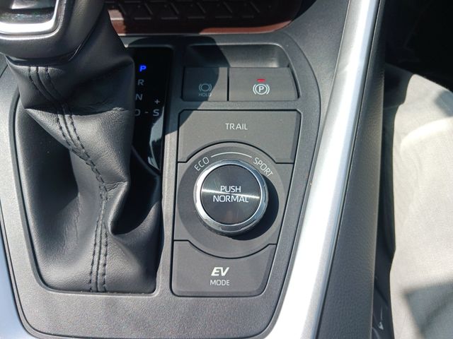 Toyota RAV4 2019-09 9197-16