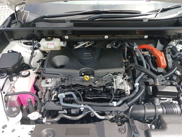 Toyota RAV4 2019-09 9197-29