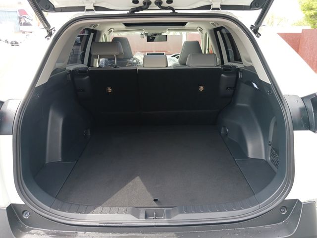 Toyota RAV4 2019-09 9197-27