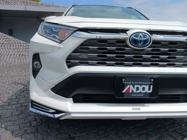 Toyota RAV4 2019-09 9197-5
