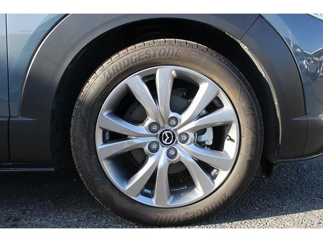 Mazda CX-30 2020-03 182668-11