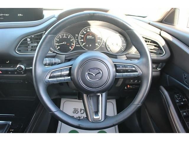Mazda CX-30 2020-03 182668-14