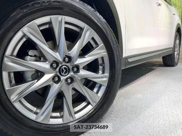Mazda CX-8 2018-08 222928-13