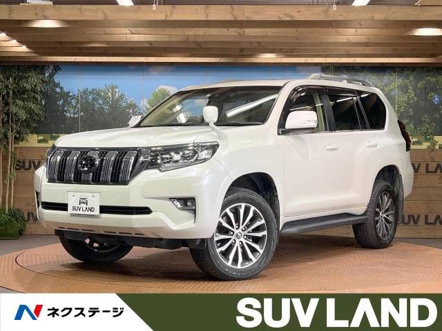 Toyota PRADO 2021-02 187448-0