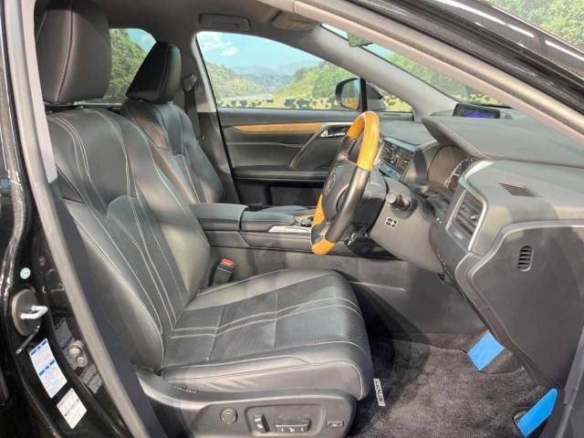 Lexus RX 2015-12 16140-8