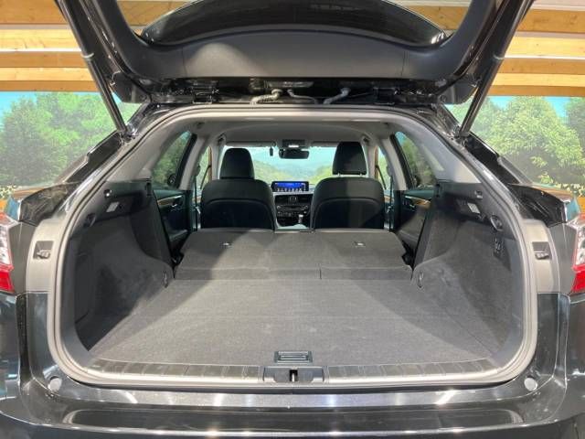 Lexus RX 2015-12 16140-10