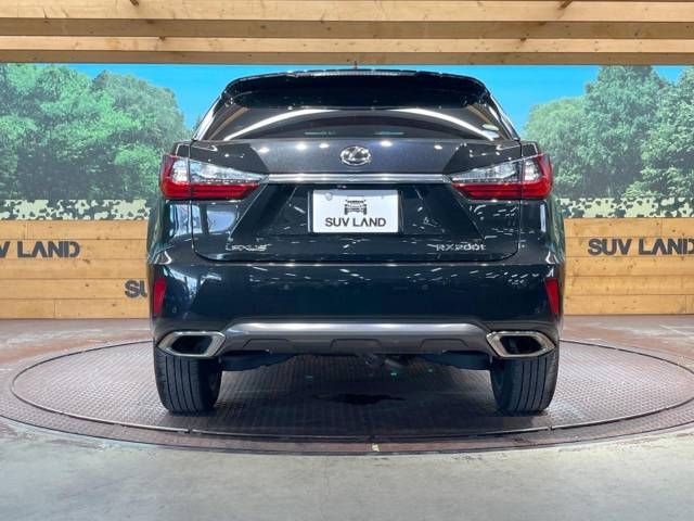 Lexus RX 2015-12 16140-13