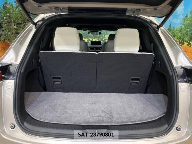 Mazda CX-8 2022-06 308587-11