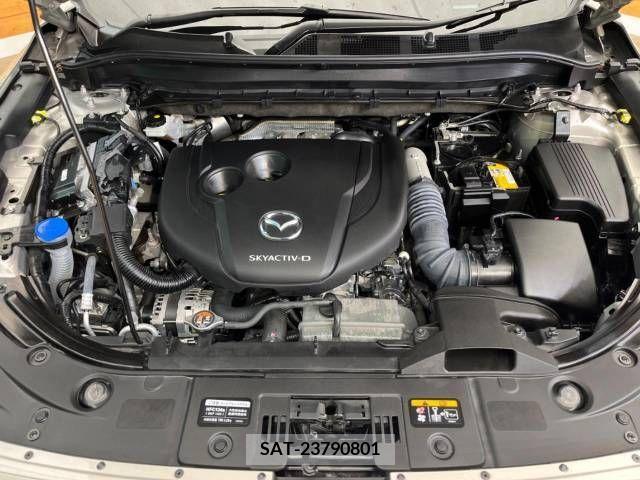 Mazda CX-8 2022-06 308587-18