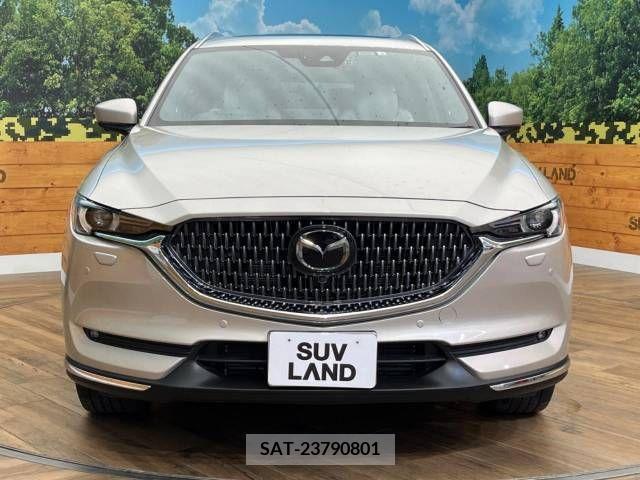 Mazda CX-8 2022-06 308587-14