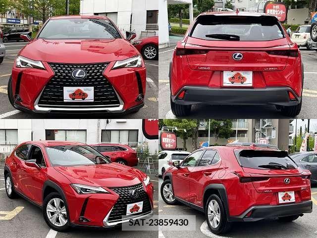 Lexus UX 2020-11 313526-8