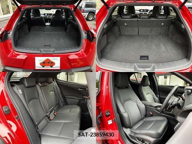 Lexus UX 2020-11 313526-7