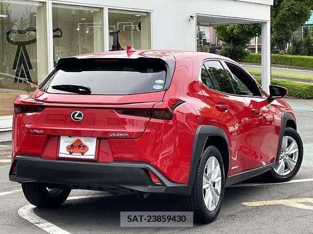 Lexus UX 2020-11 313526-2